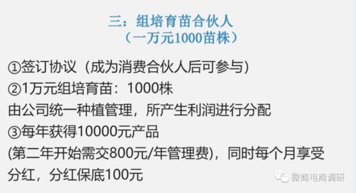 鴻信源代理制度詳解 如何通過代用茶宣傳提升免疫力并實(shí)現(xiàn)創(chuàng)業(yè)共贏